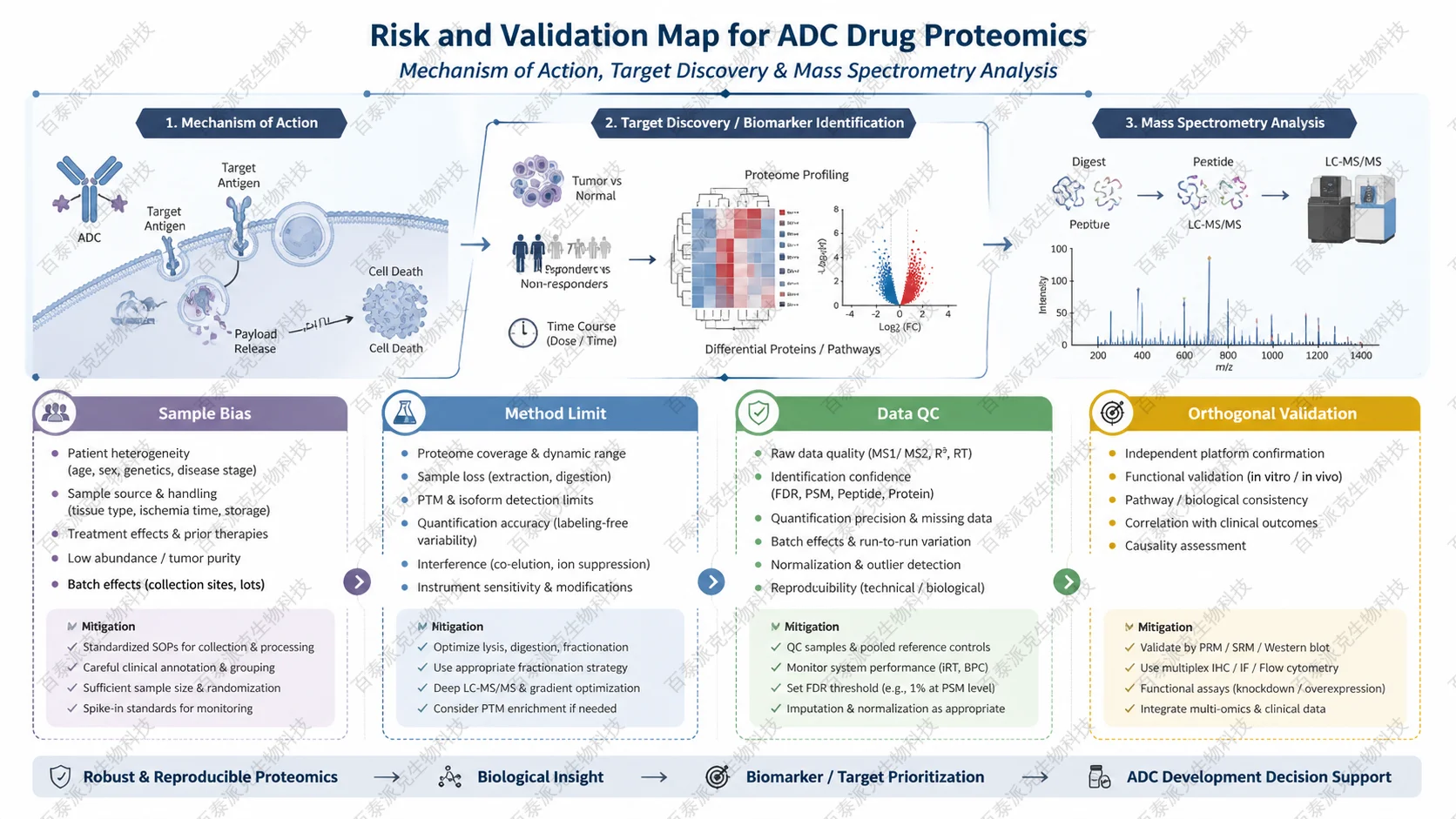 Risk and validation map for ADC药物蛋白质组学：作用机制、靶点筛选与质谱分析 with English labels: Sample Bias, Method Limit, Data QC, Orthogonal Validation