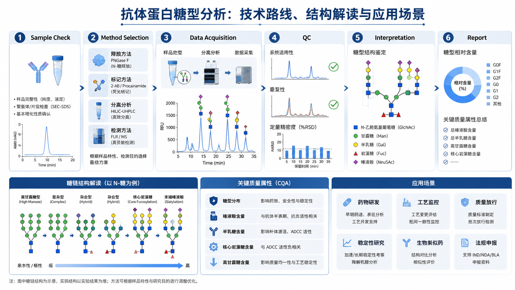 Workflow infographic for 抗体蛋白糖型分析：技术路线、结构解读与应用场景 with English labels: Sample Check, Method Selection, Data Acquisition, QC, Interpretation, Report