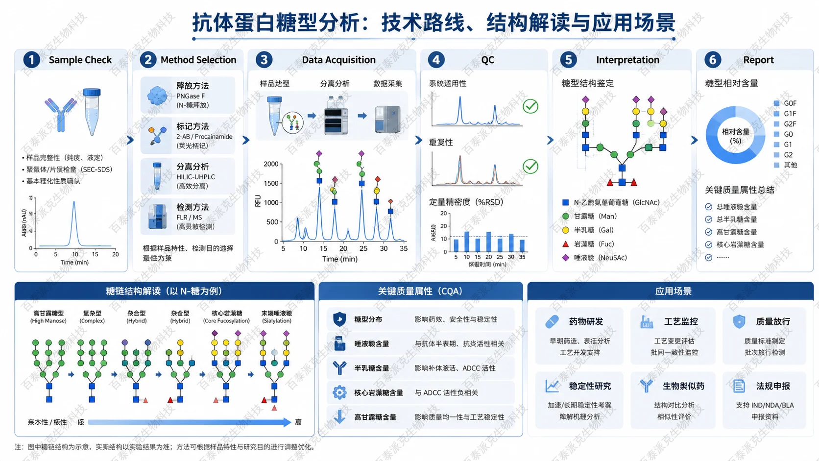 Workflow infographic for 抗体蛋白糖型分析：技术路线、结构解读与应用场景 with English labels: Sample Check, Method Selection, Data Acquisition, QC, Interpretation, Report