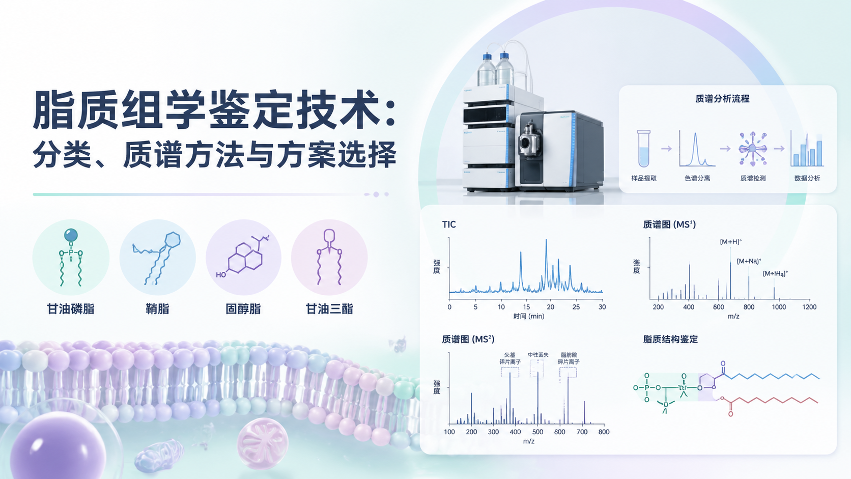 lipidomics-identification-technology-guide-1