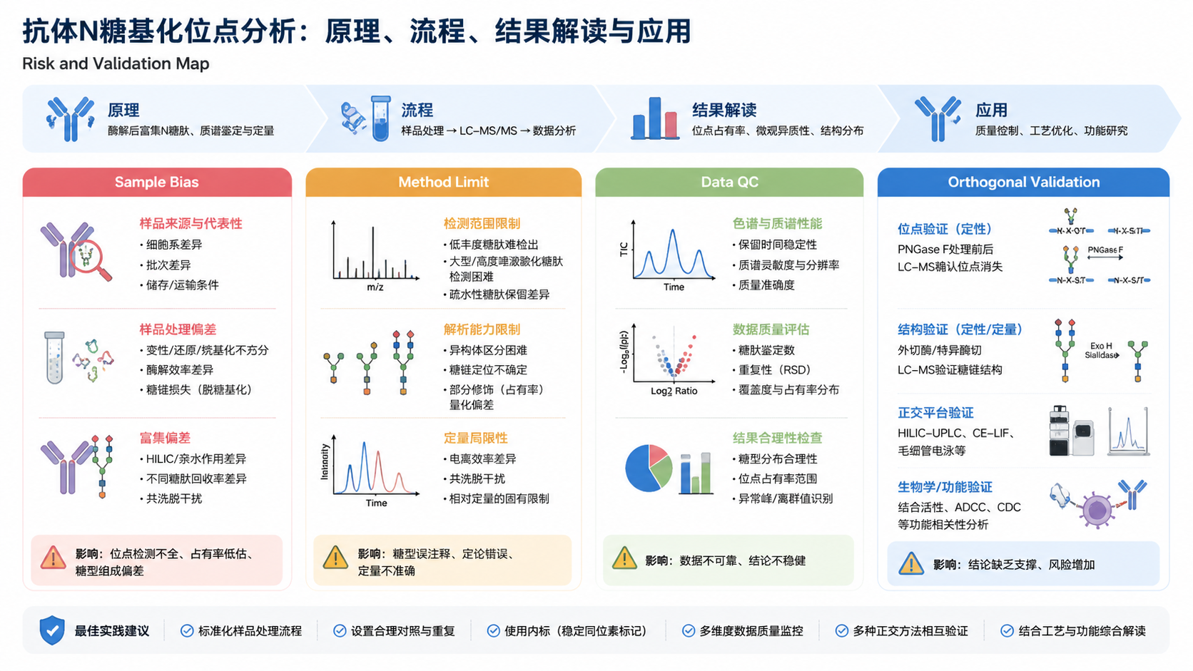Risk and validation map for 抗体N糖基化位点分析：原理、流程、结果解读与应用 with English labels: Sample Bias, Method Limit, Data QC, Orthogonal Validation