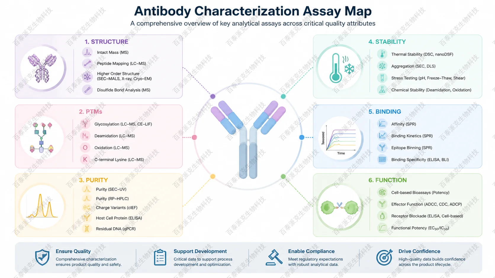 antibody-characterization-assays-guide-2