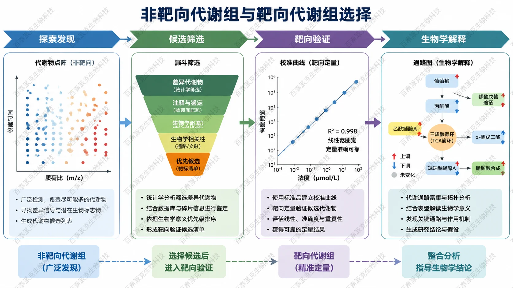 非靶向代谢组和靶向代谢组的选择流程图，包含探索发现、候选筛选、靶向验证和生物学解释