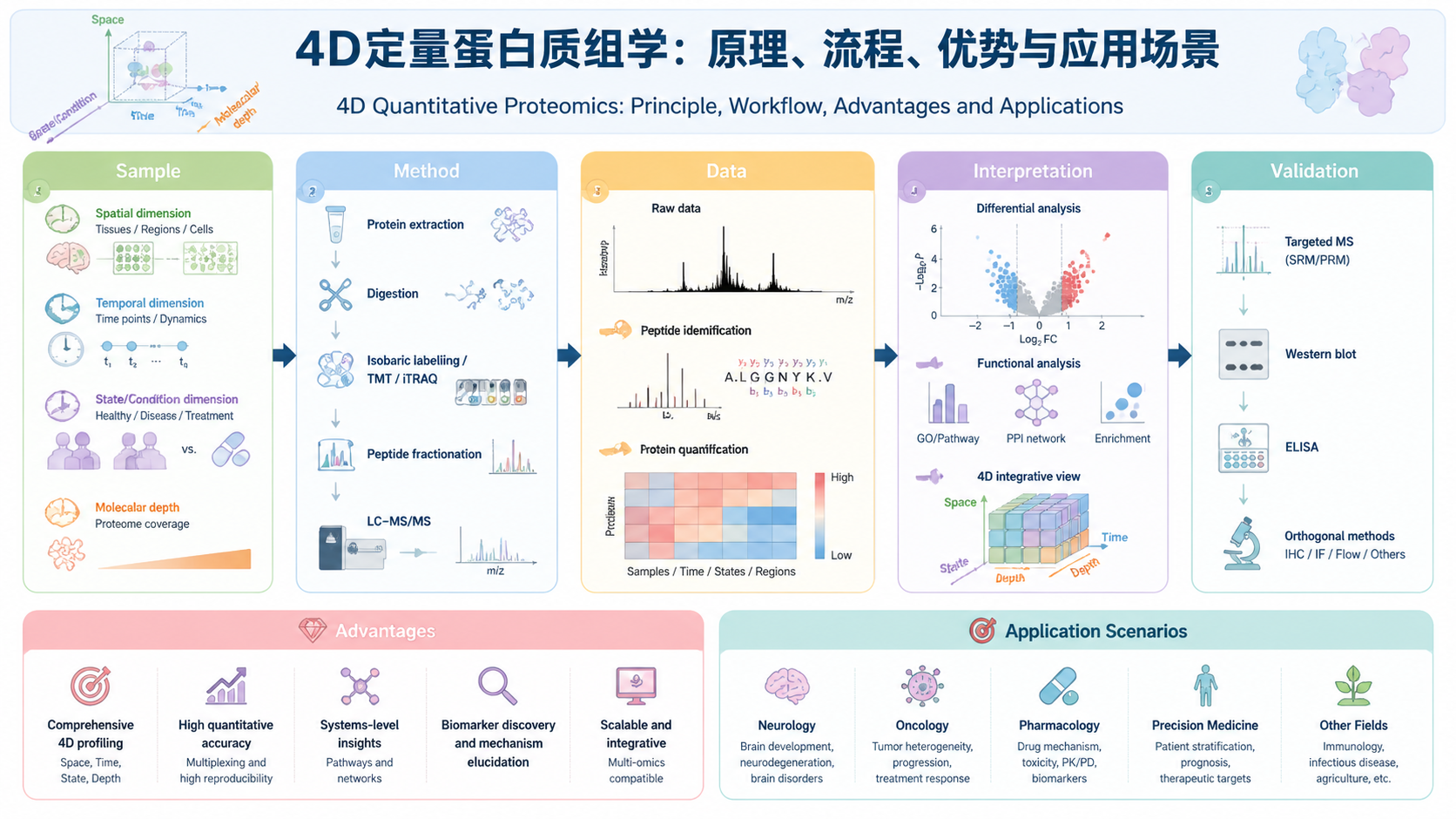Scientific framework diagram for 4D定量蛋白质组学：原理、流程、优势与应用场景 with English labels showing sample, method, data, interpretation, and validation