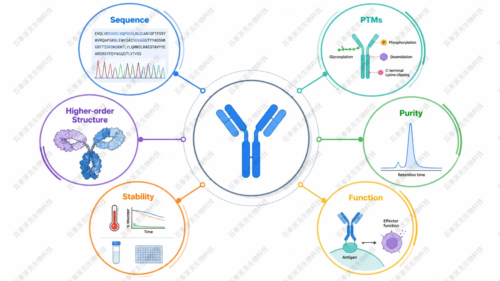Antibody characterization framework with sequence, PTMs, higher-order structure, purity, stability, and function labeled in English