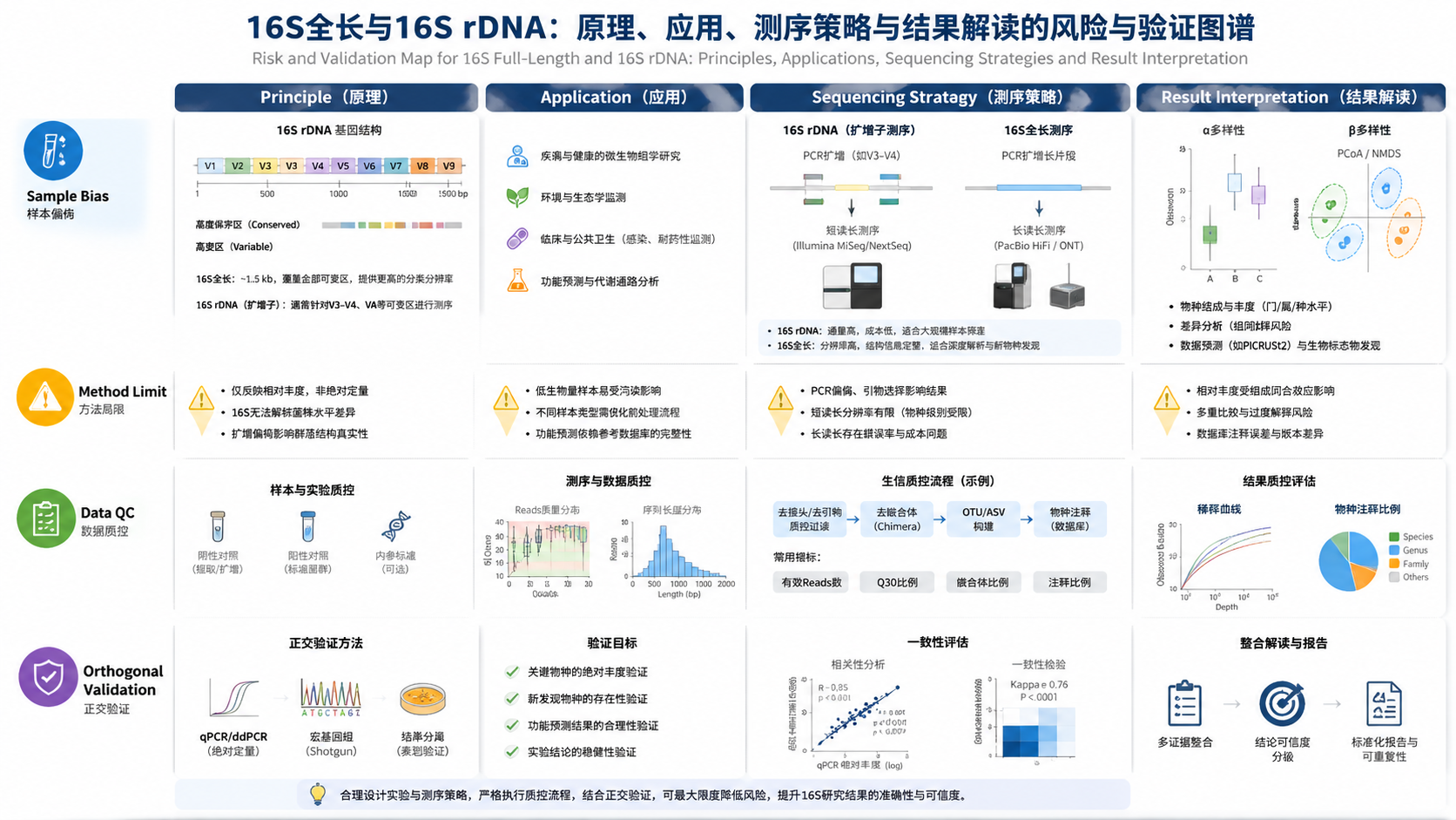 Risk and validation map for 16S全长和16S rDNA：原理、应用、测序策略与结果解读 with English labels: Sample Bias, Method Limit, Data QC, Orthogonal Validation