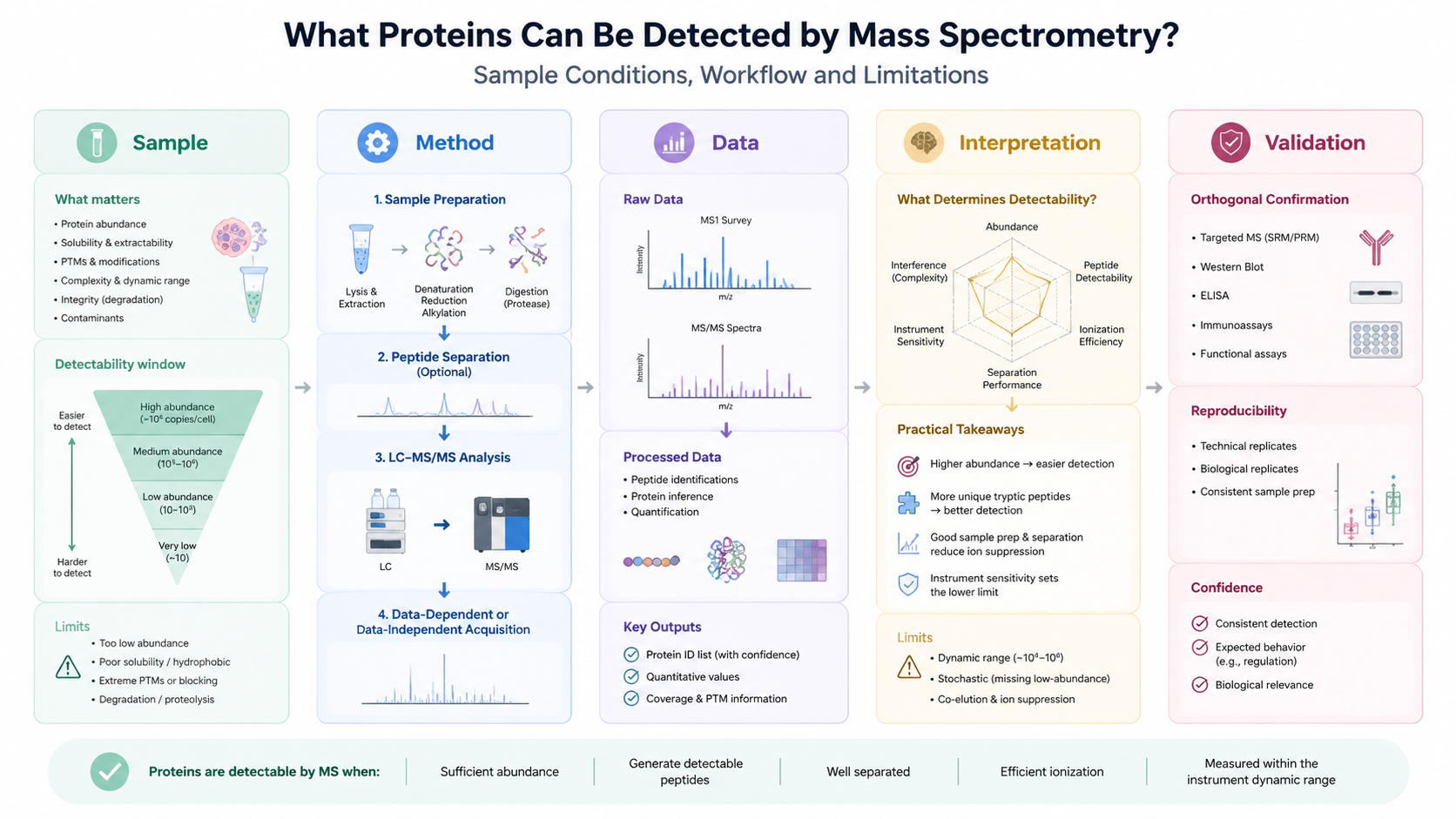 protein-mass-spectrometry-detection-guide-2