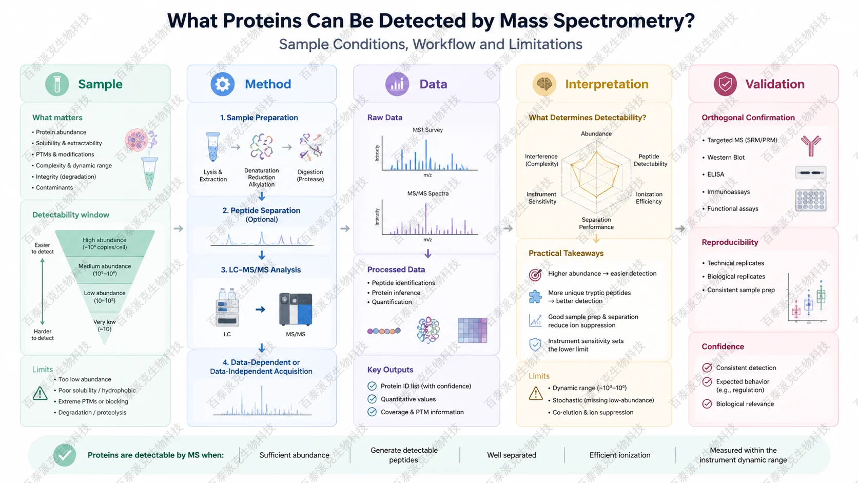 protein-mass-spectrometry-detection-guide-2
