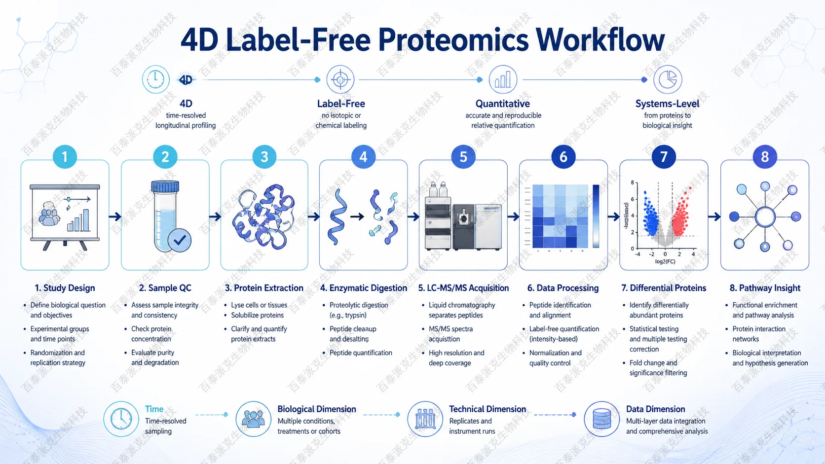 Workflow from experimental design to LC-MS/MS acquisition, data processing, differential proteins, and pathway interpretation with English labels