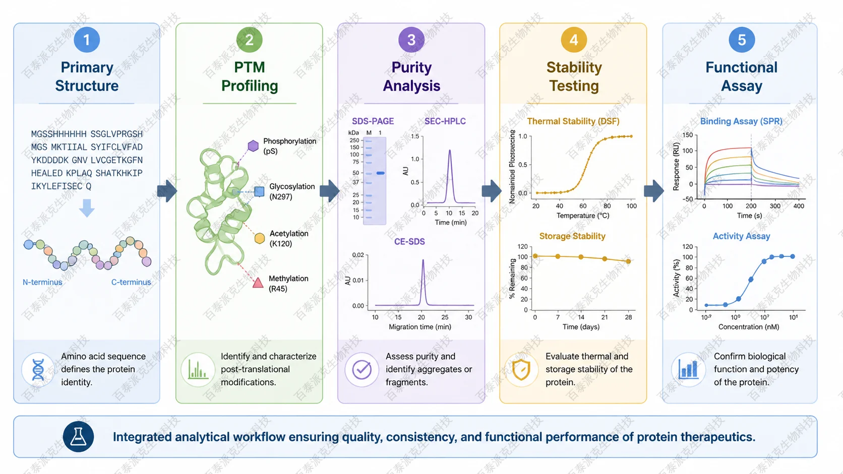 antibody-characterization-assays-guide-3