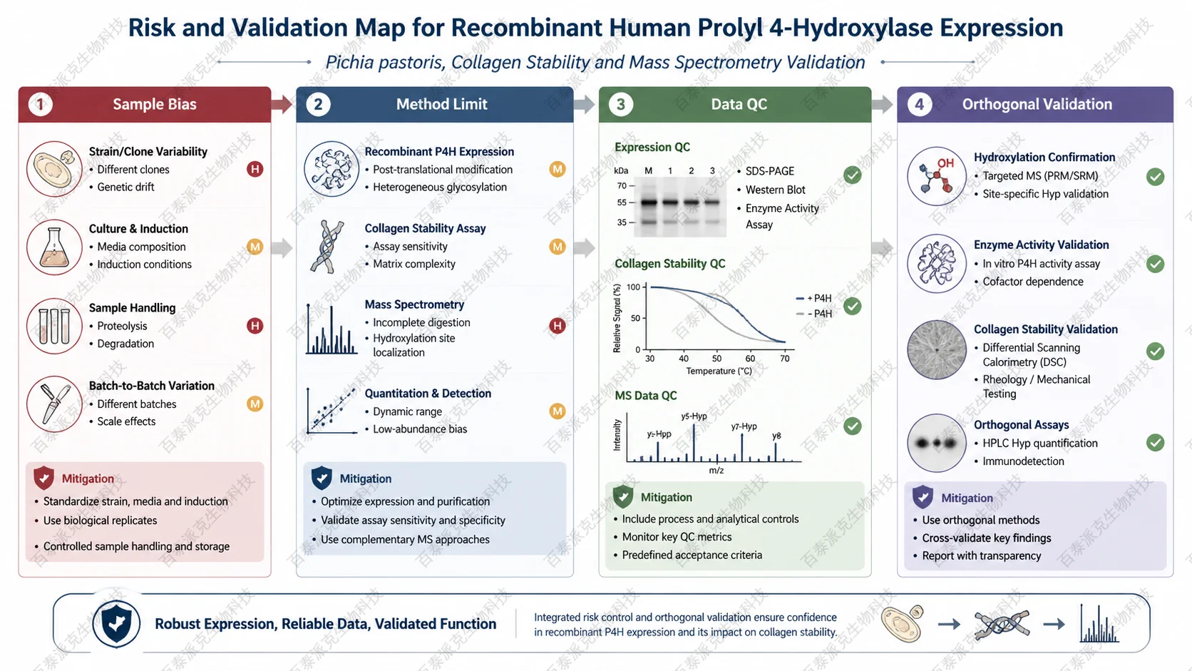 Risk and validation map for 重组人脯氨酰4-羟化酶表达研究：Pichia pastoris、胶原稳定性与质谱验证 with English labels: Sample Bias, Method Limit, Data QC, Orthogonal Validation