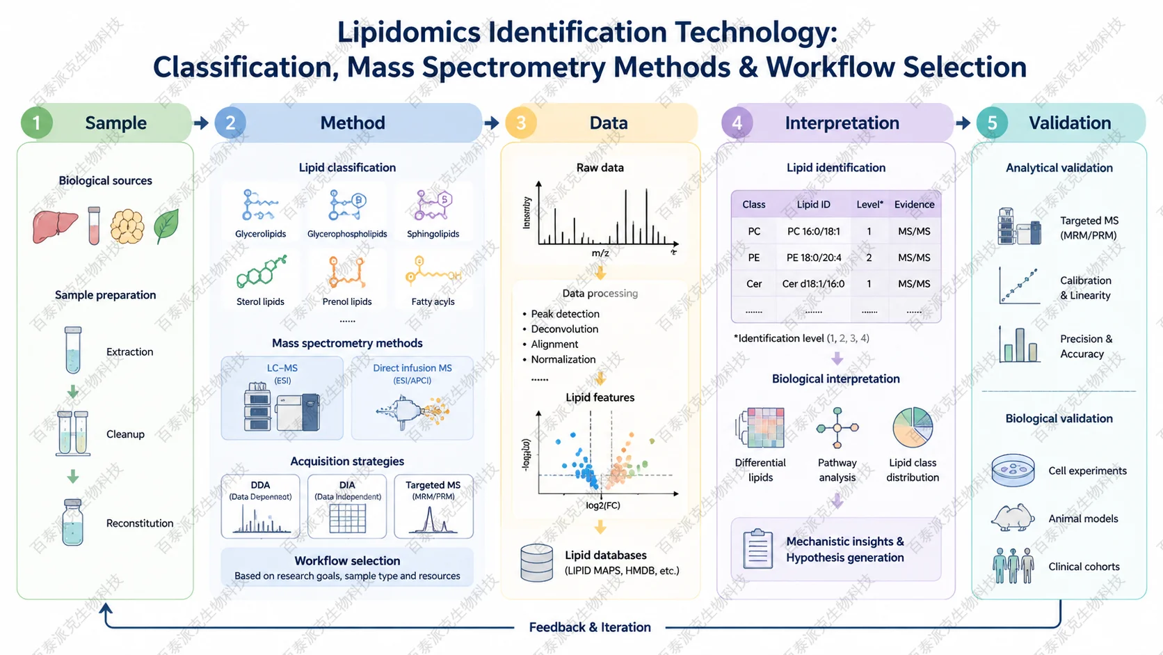 Scientific framework diagram for 脂质组学鉴定技术:分类、质谱方法与方案选择 with English labels showing sample, method, data, interpretation, and validation lipidomics-identification-technology-guide-2