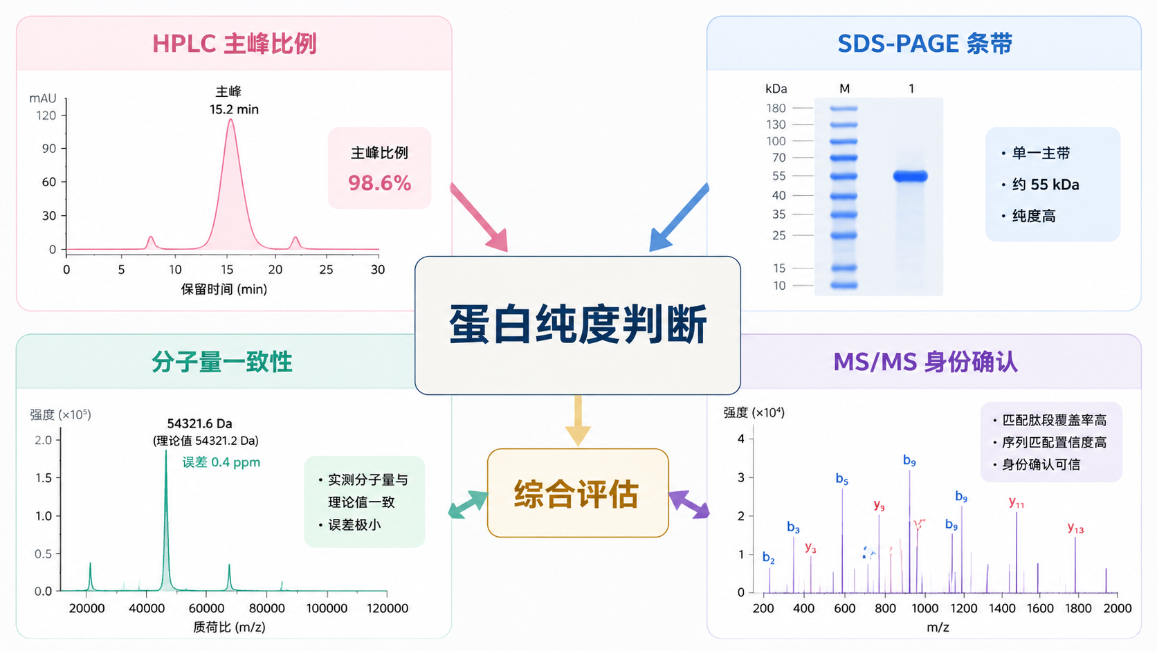 HPLC、SDS-PAGE、分子量和 MS/MS 共同支持蛋白纯度判断 HPLC、SDS-PAGE、分子量和 MS/MS 共同支持蛋白纯度判断