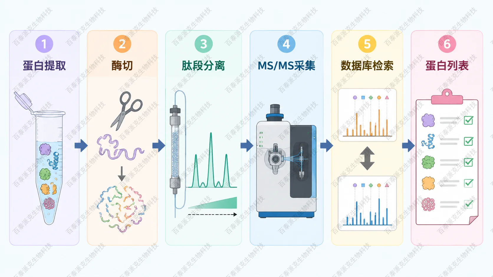 混合蛋白 LC-MS/MS 分析流程,包含蛋白提取、酶切、肽段分离、MS/MS 采集、数据库检索和蛋白列表输出 混合蛋白 LC-MS/MS 分析流程,包含蛋白提取、酶切、肽段分离、MS/MS 采集、数据库检索和蛋白列表输出