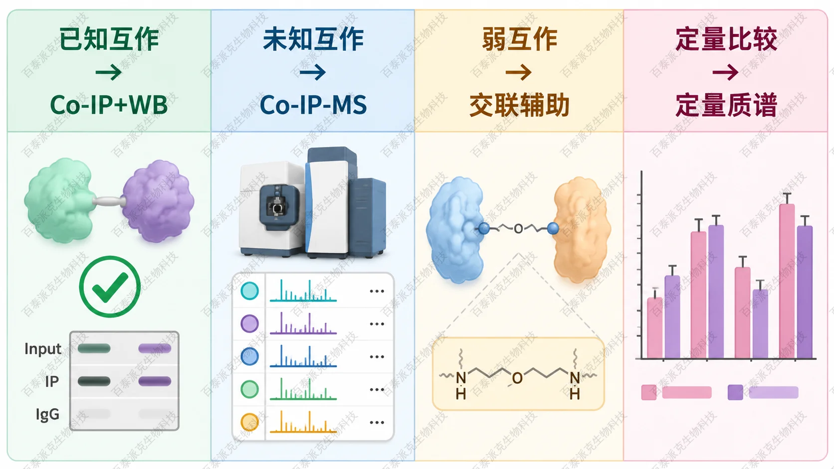 Co-IP 实验设计矩阵，按已知互作验证、未知互作发现、弱互作分析和定量比较选择方案