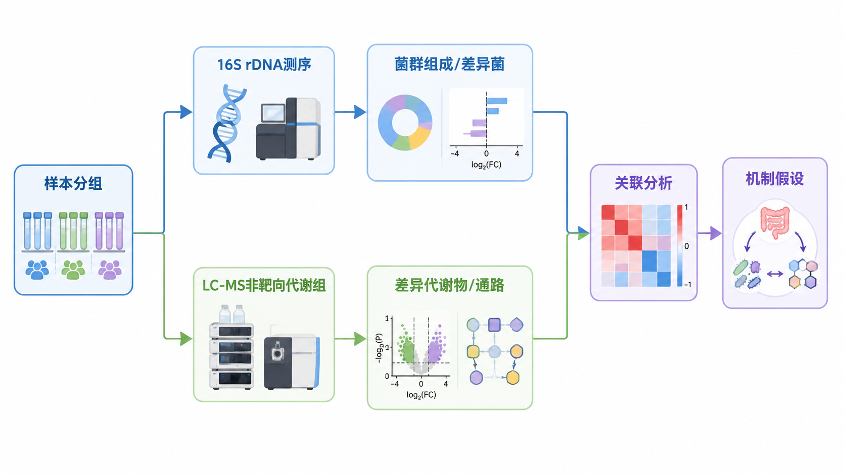 16S 与非靶向代谢组学联合分析流程