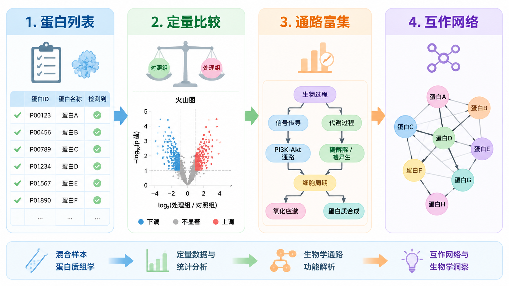 混合蛋白分析结果从蛋白列表延伸到定量比较、通路富集和互作网络