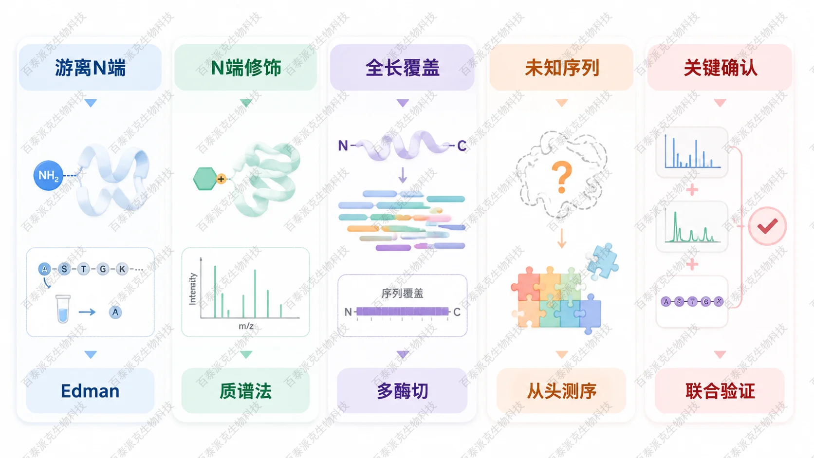 不同样品和研究目标下的 N 端测序方法选择矩阵