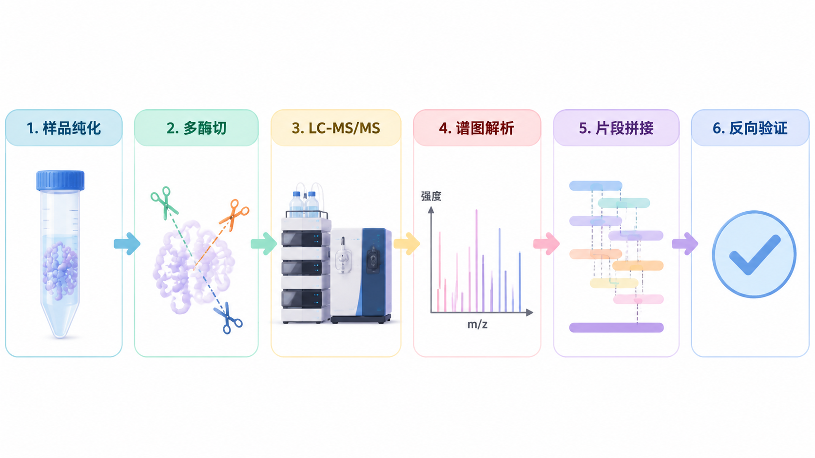 蛋白 De novo 从头测序从多酶切到序列拼接的流程 蛋白 De novo 从头测序从多酶切到序列拼接的流程