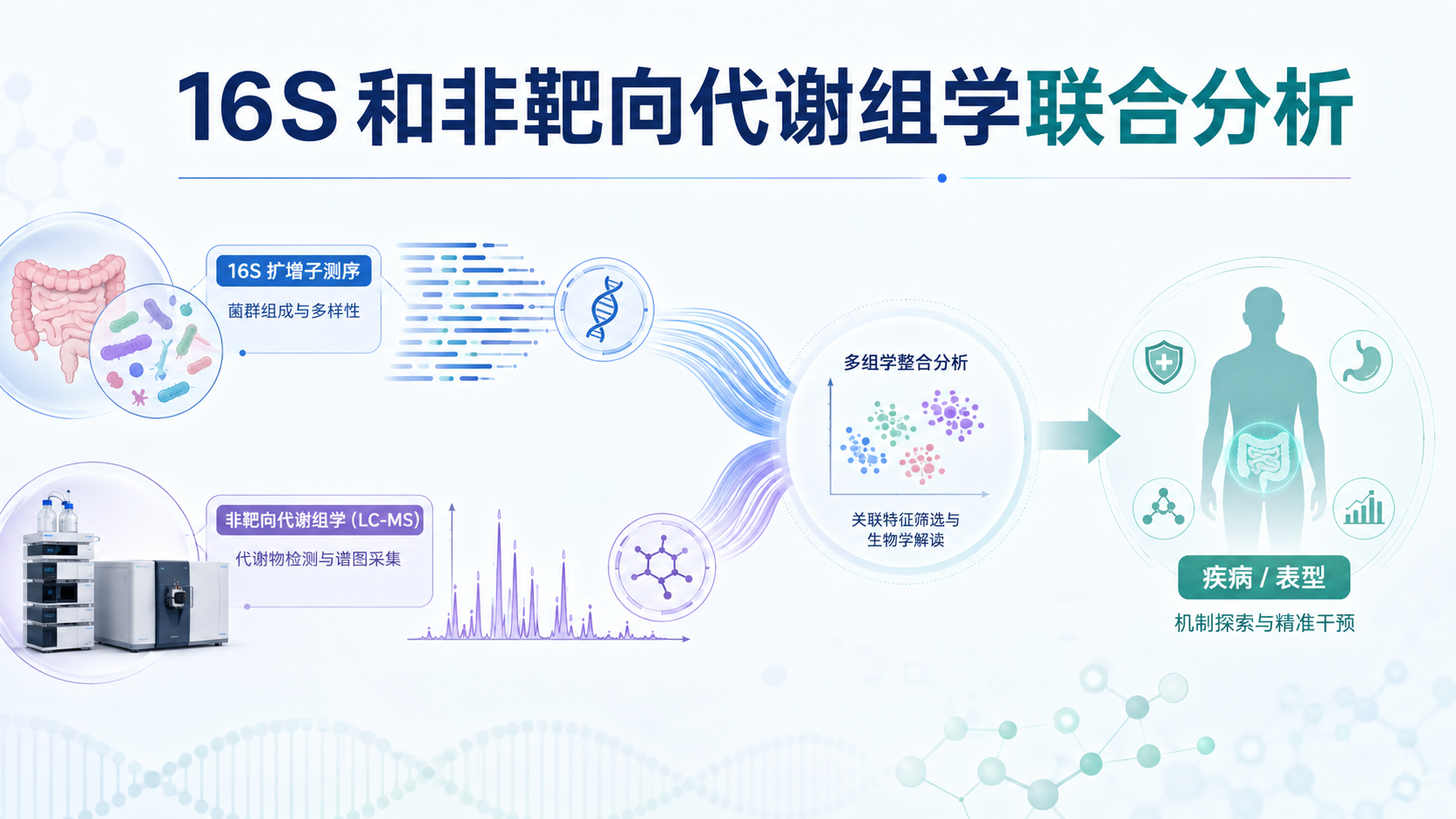 封面：16S 与非靶向代谢组学整合分析