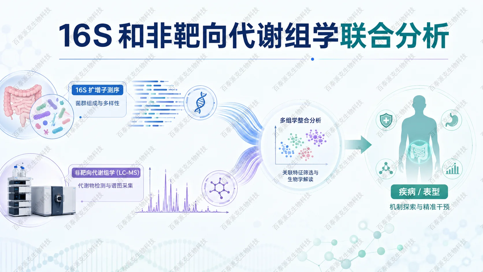 封面:16S 与非靶向代谢组学整合分析 封面:16S 与非靶向代谢组学整合分析