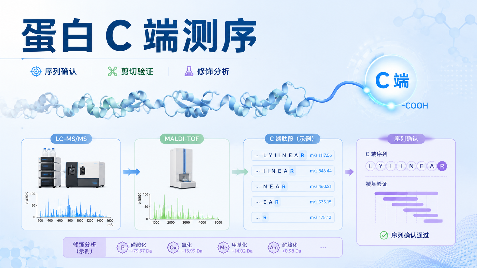 封面：蛋白 C 端测序与质谱分析流程