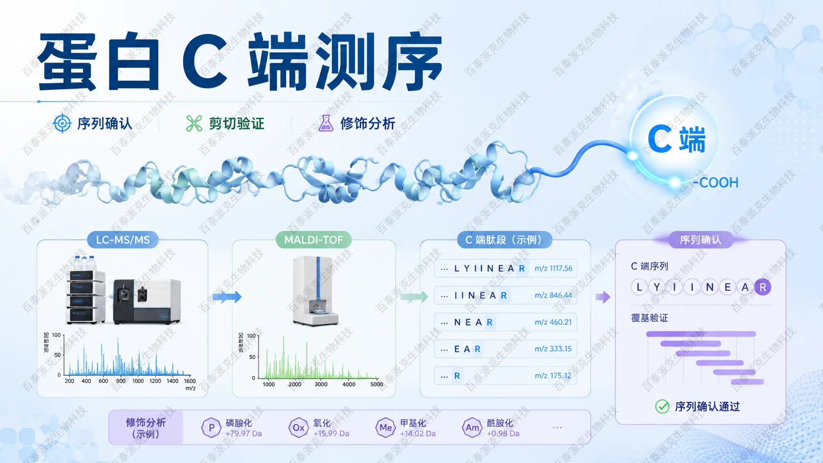 封面：蛋白 C 端测序与质谱分析流程