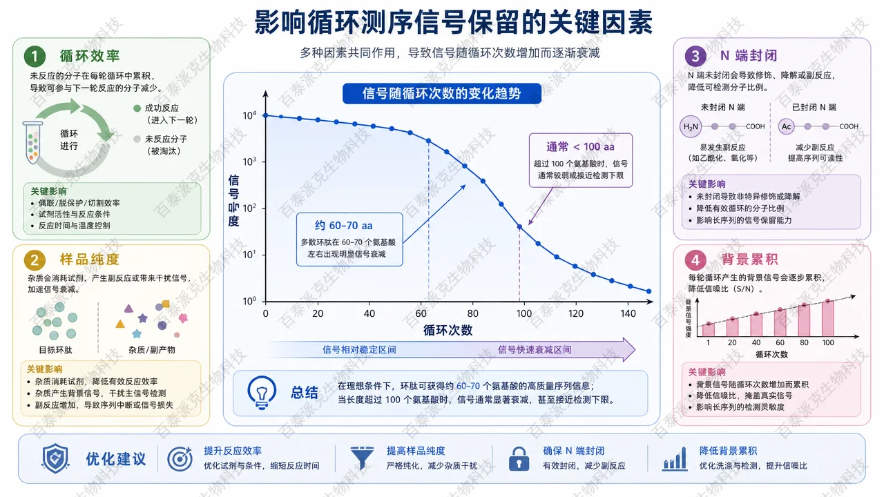 Edman 测序读长受循环效率、样品纯度和 N 端状态影响