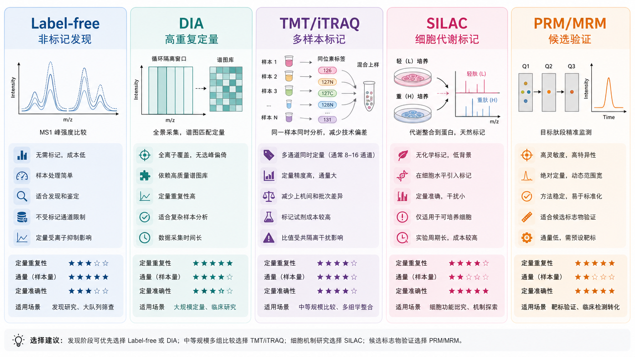 Label-free、DIA、TMT、SILAC 和 PRM/MRM 的差异质谱方法比较