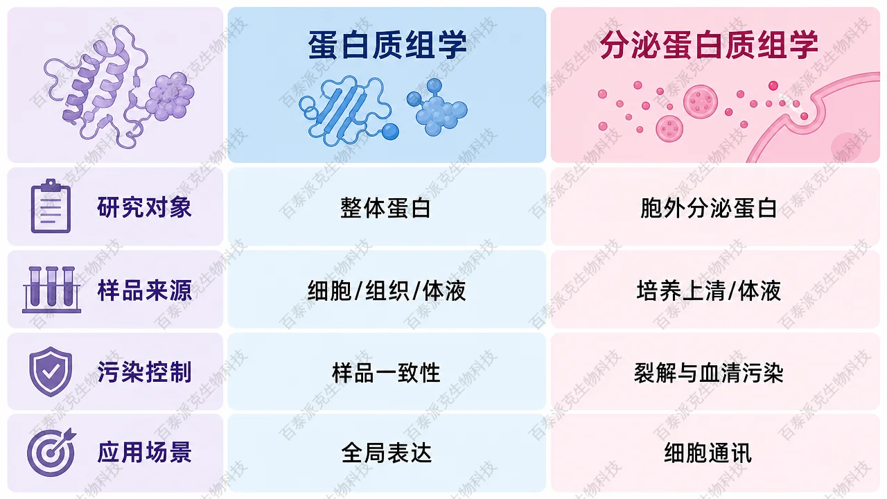 分泌蛋白质组学与常规蛋白质组学在样品、目标和解释重点上的差异
