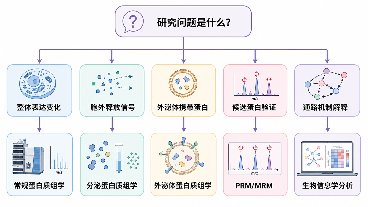 按研究目标选择分泌蛋白质组学、常规蛋白质组学和靶向验证策略
