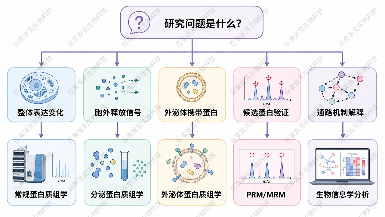 按研究目标选择分泌蛋白质组学、常规蛋白质组学和靶向验证策略