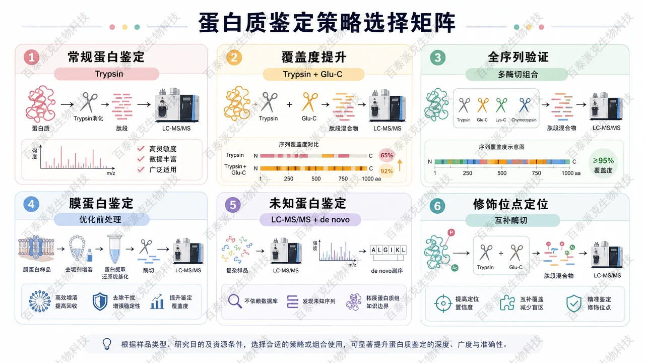 按蛋白质谱目标选择 Trypsin、Glu-C 和多酶切策略 按蛋白质谱目标选择 Trypsin、Glu-C 和多酶切策略