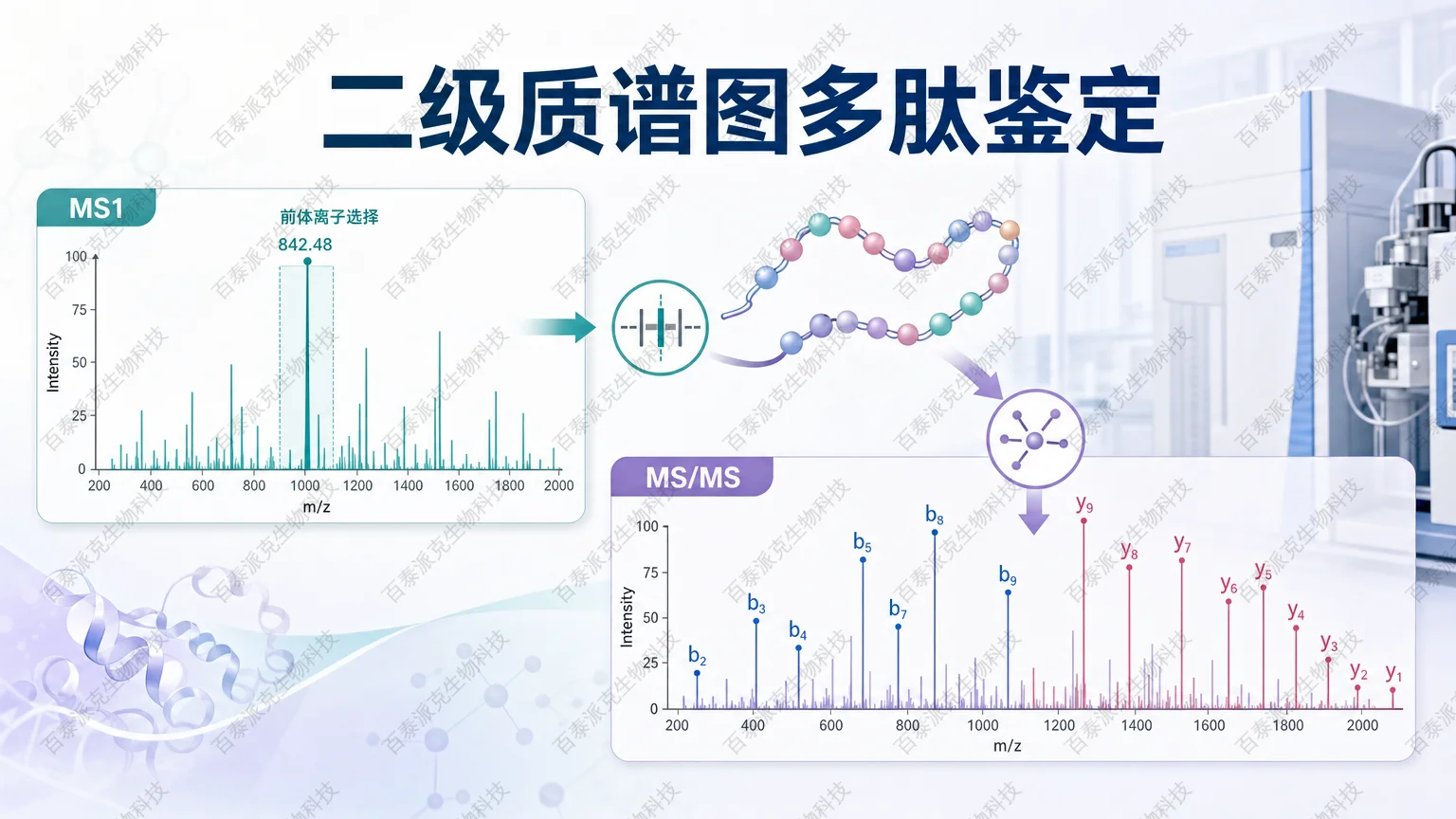 封面：二级质谱图多肽鉴定与 MS/MS 谱图解析