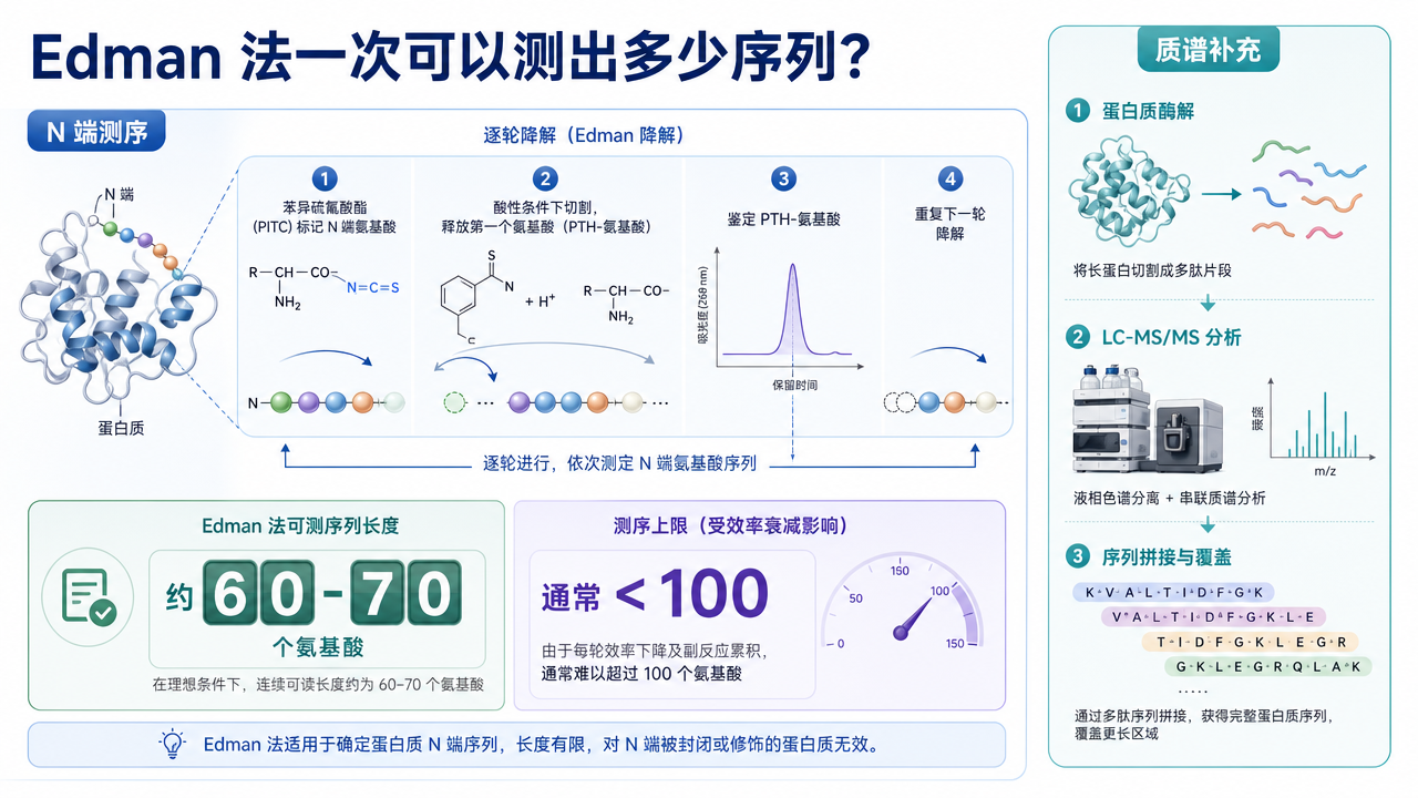 封面：Edman 法 N 端测序读长与替代方案