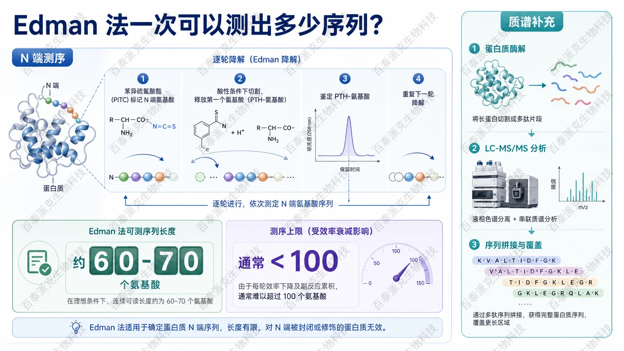 封面：Edman 法 N 端测序读长与替代方案