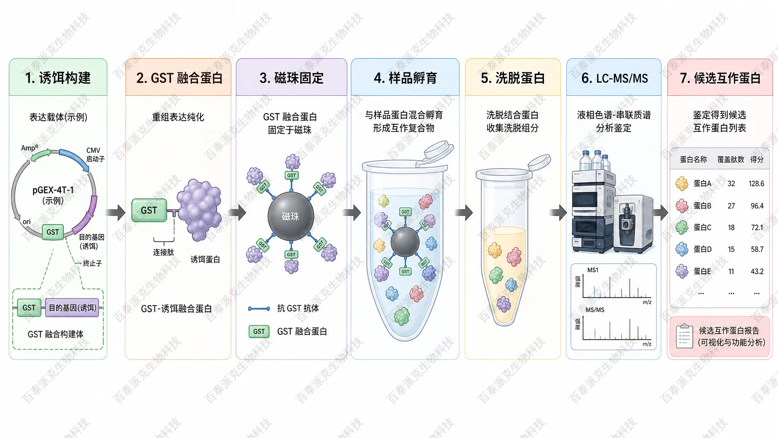 GST Pull-down 结合 LC-MS/MS 的蛋白互作鉴定流程 GST Pull-down 结合 LC-MS/MS 的蛋白互作鉴定流程