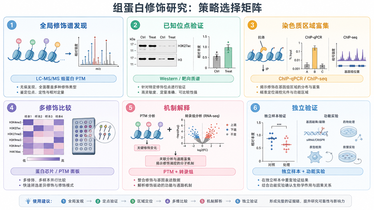 按研究目标选择组蛋白甲基化差异鉴定方法 按研究目标选择组蛋白甲基化差异鉴定方法