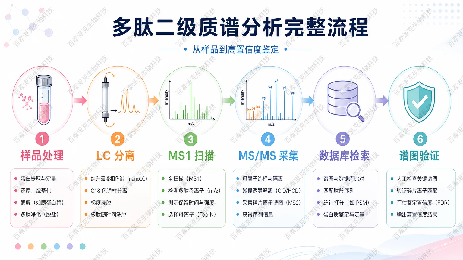二级质谱图多肽鉴定从母离子选择到数据库检索的流程