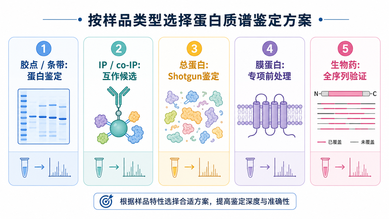 不同样品类型对应不同蛋白质谱鉴定策略
