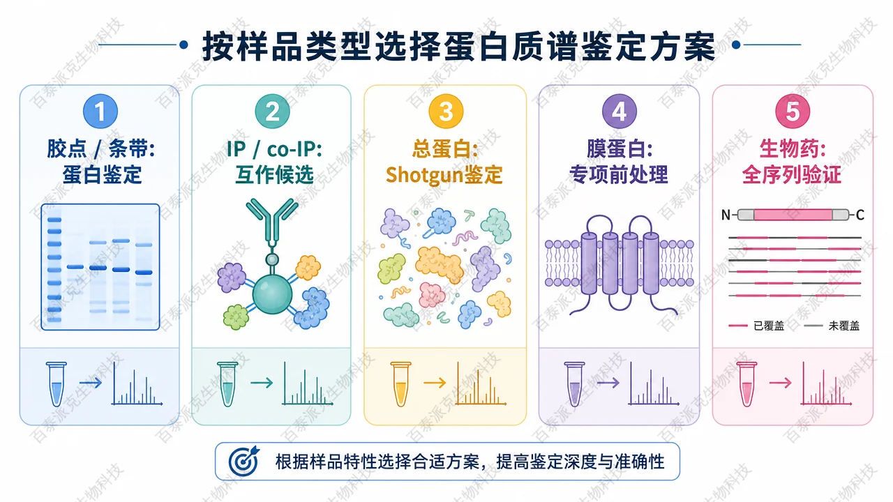 不同样品类型对应不同蛋白质谱鉴定策略