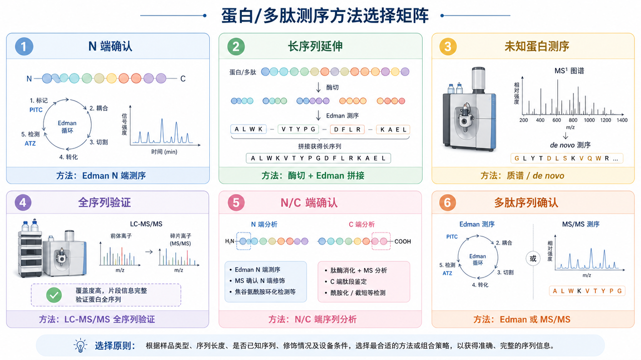 按测序目标选择 Edman、质谱测序和全序列验证策略
