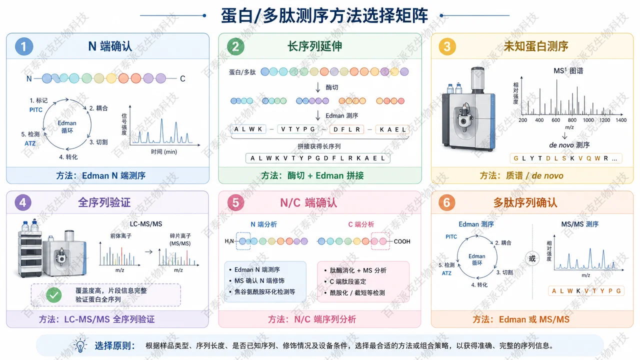按测序目标选择 Edman、质谱测序和全序列验证策略