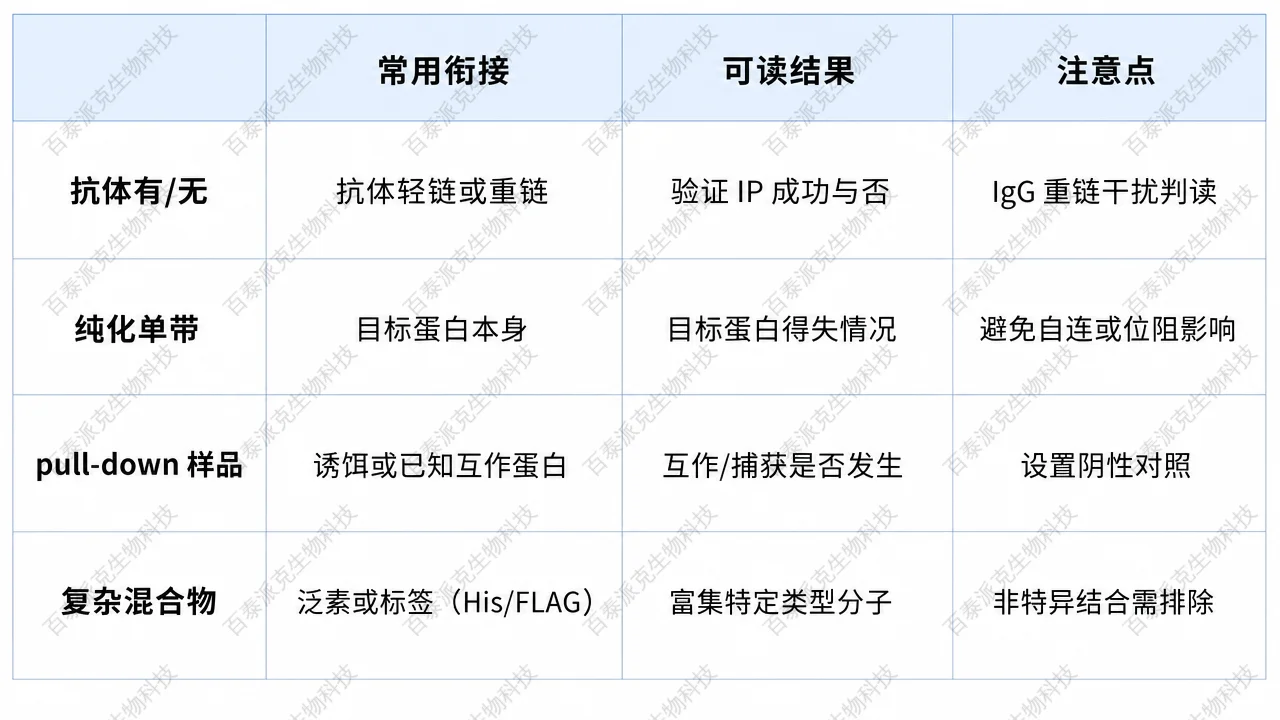 按目的选择 SDS-PAGE 与下游验证组合