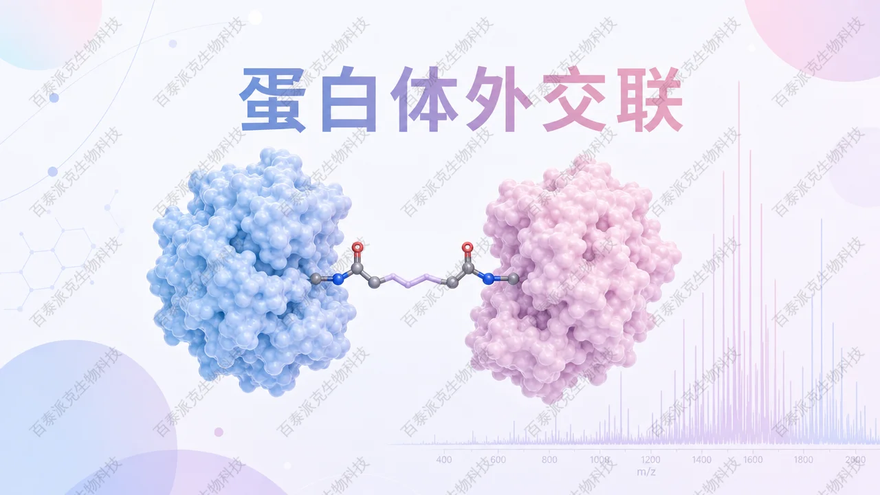 封面：体外交联与质谱