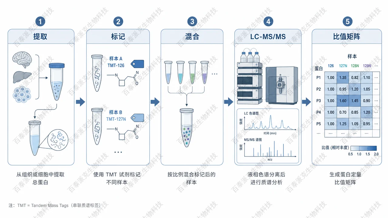 从酶切混合物到比值矩阵的数据流程 从酶切混合物到比值矩阵的数据流程