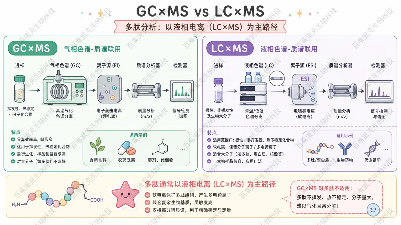 气质与气质以外路径的类比提示
