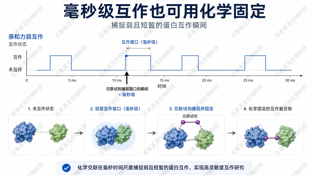 弱互作时间尺度与化学捕捉关系
