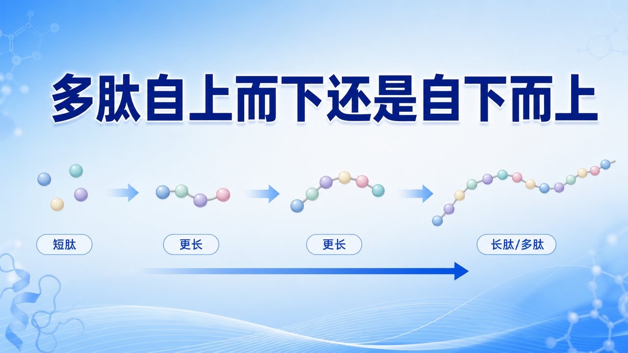 封面:多肽质谱策略选择 封面:多肽质谱策略选择