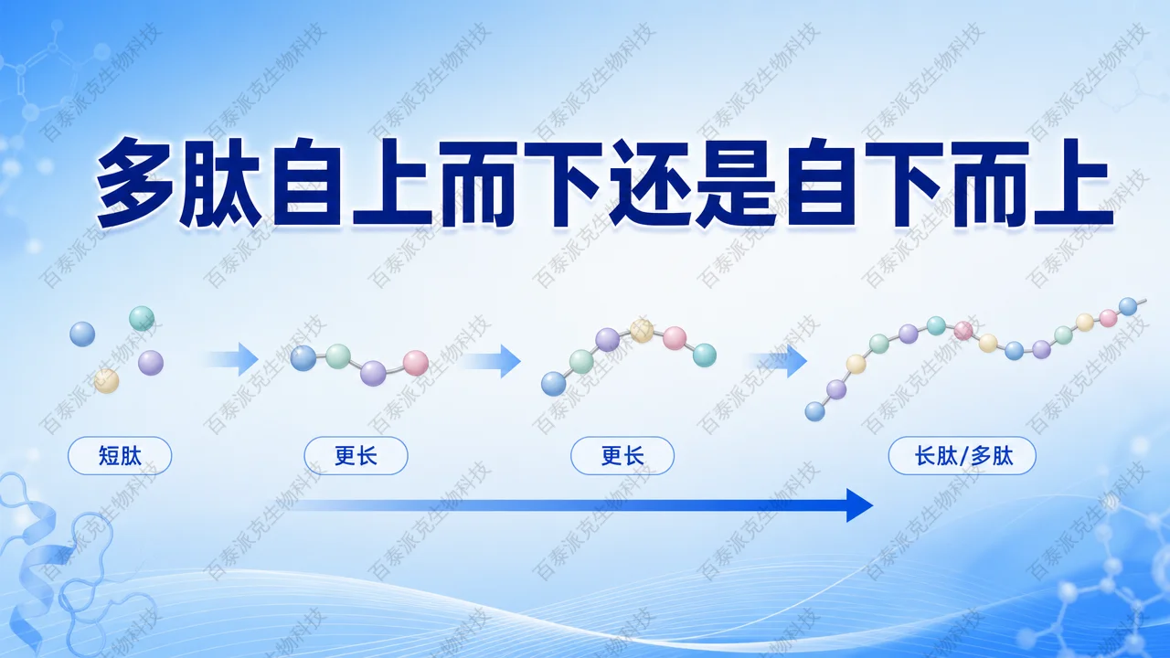 封面：多肽质谱策略选择